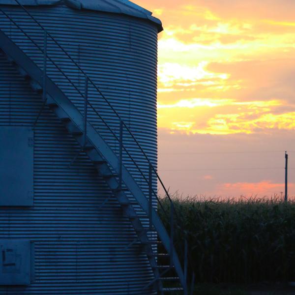 Placeholder image for Movie theater popcorn sales have tanked, prompting American popcorn farmers to find new markets